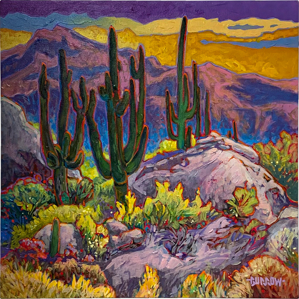 Desert Garden