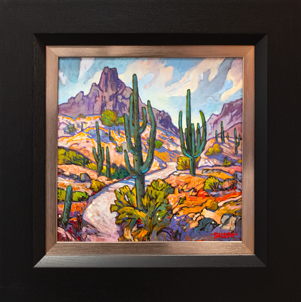 Pinnacle Peak Trail
