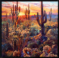 Scottsdale Sun
