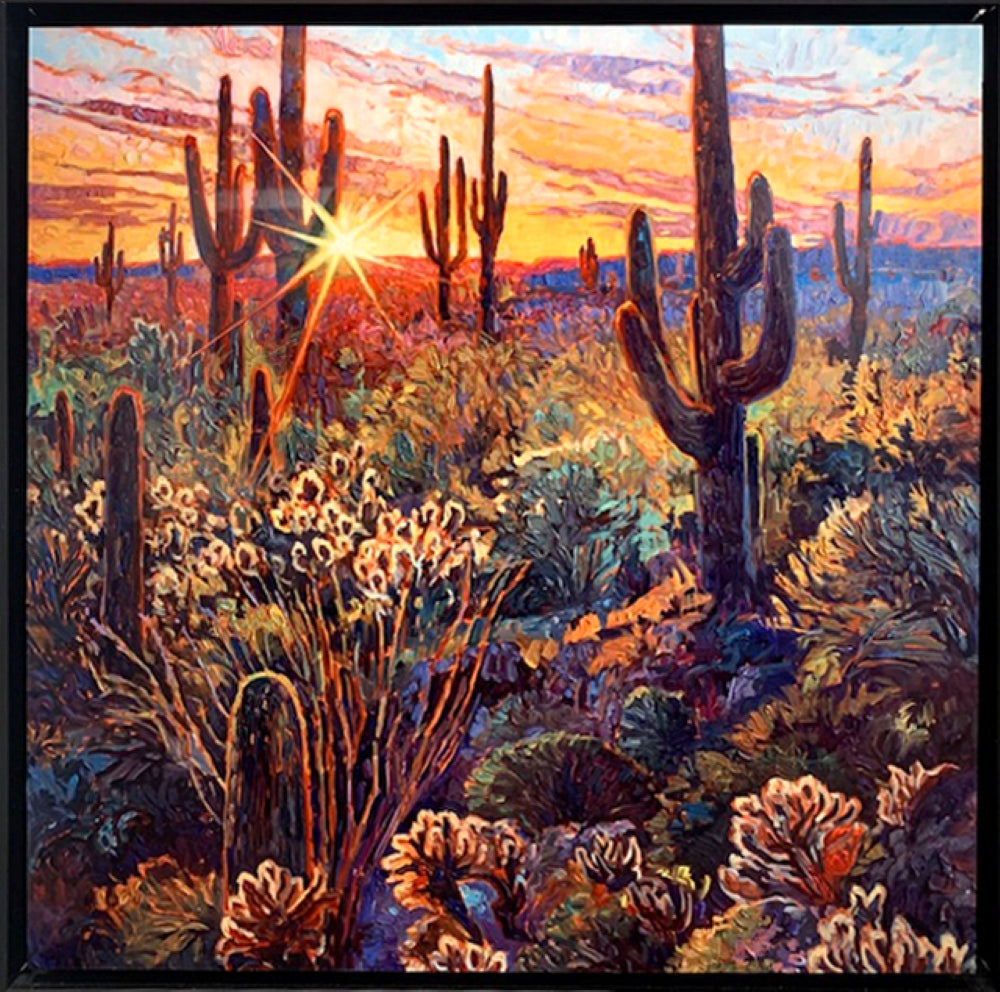 Scottsdale Sun
