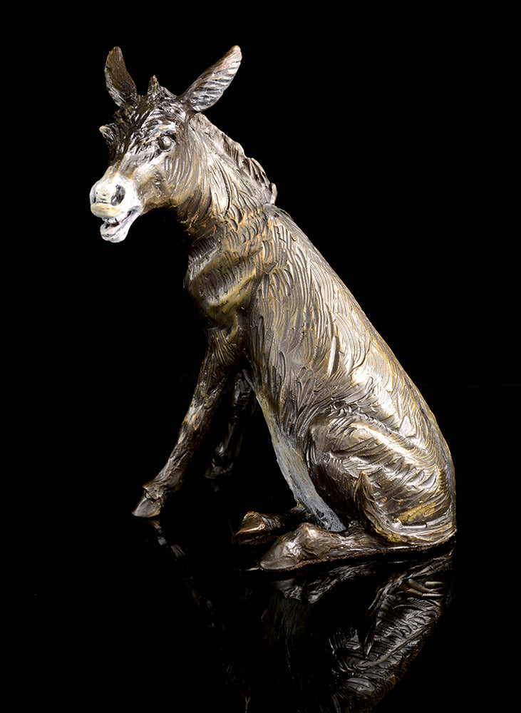 Braying Burro