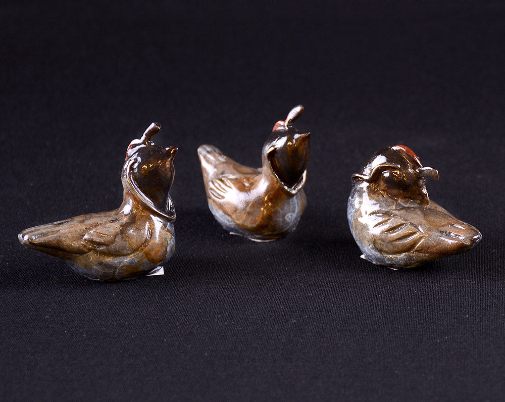 Brood