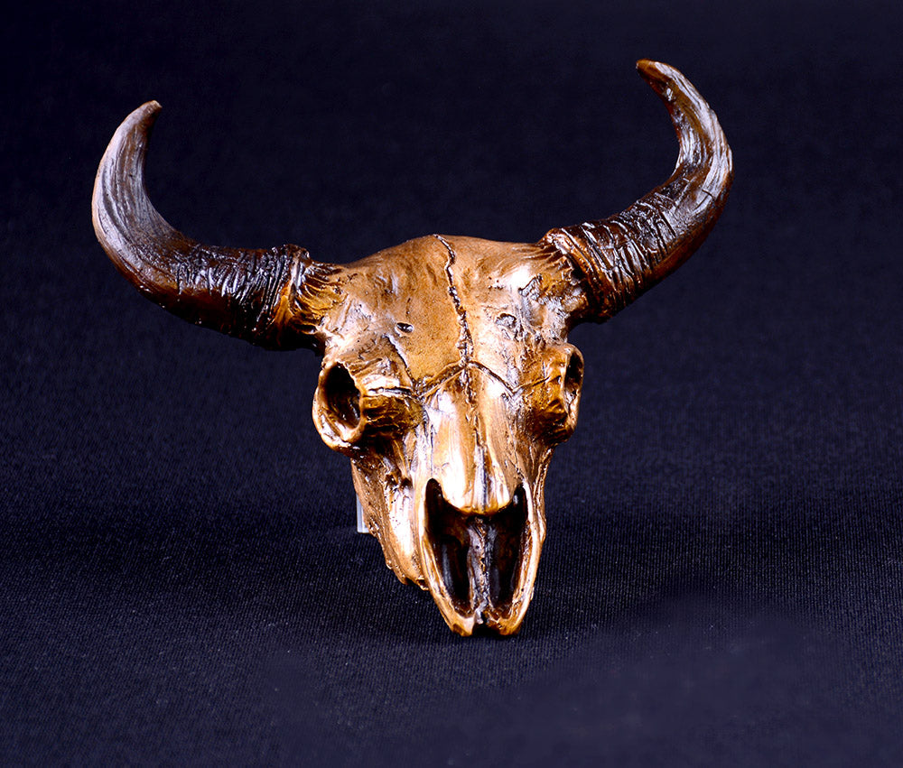Buffalo Skull