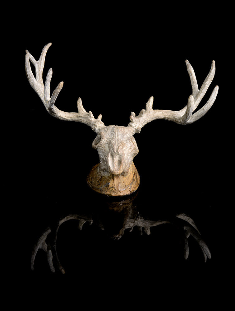 Mulie Skull