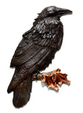 Raven