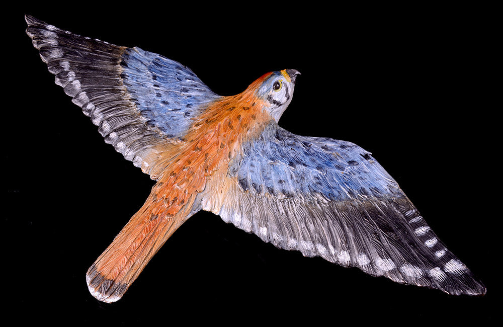 Soar