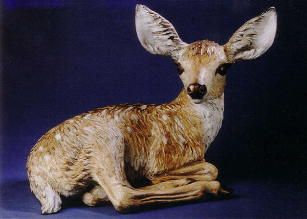 Canyon Beauty