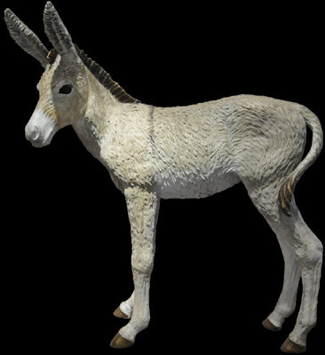 Chiquita