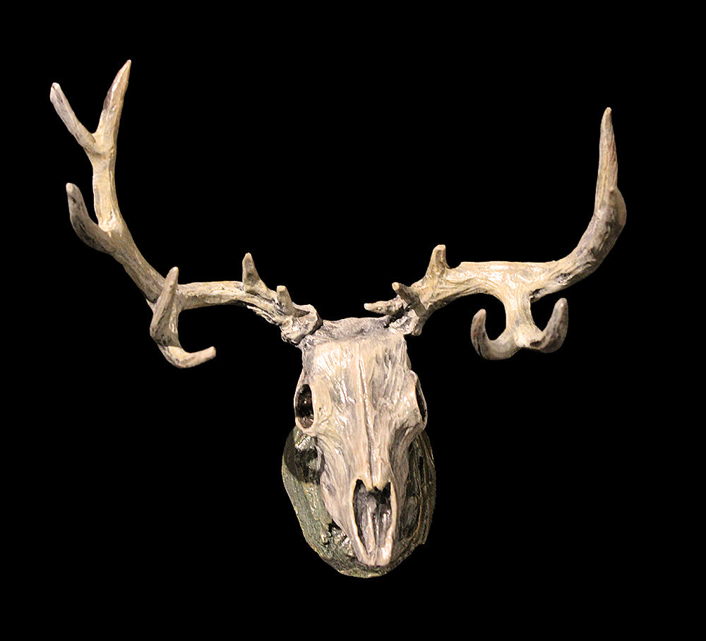 Mule Deer Skull