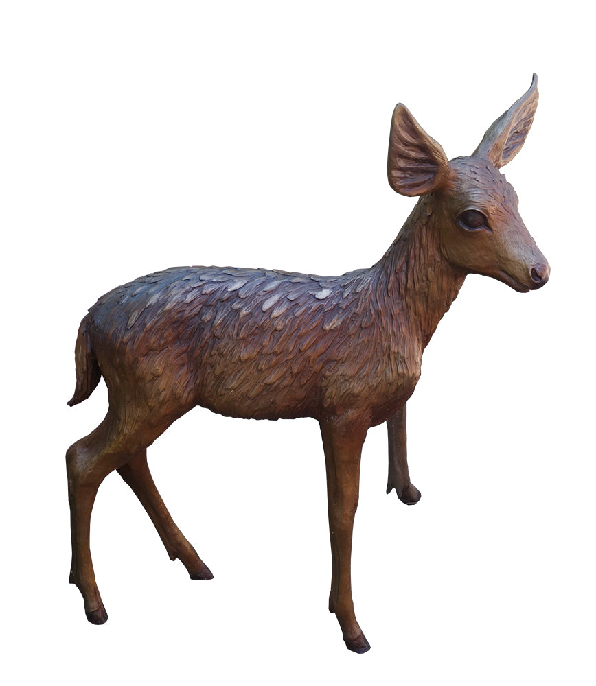 Springtime Fawn