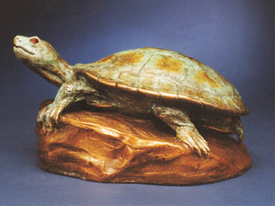 Sunning Turtle