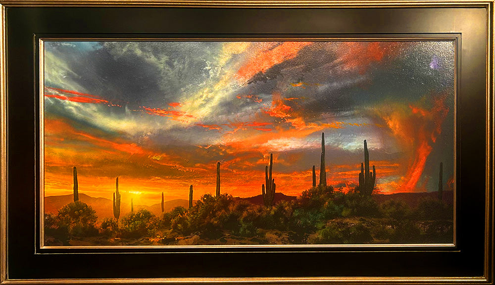 Bring Me Into the Light