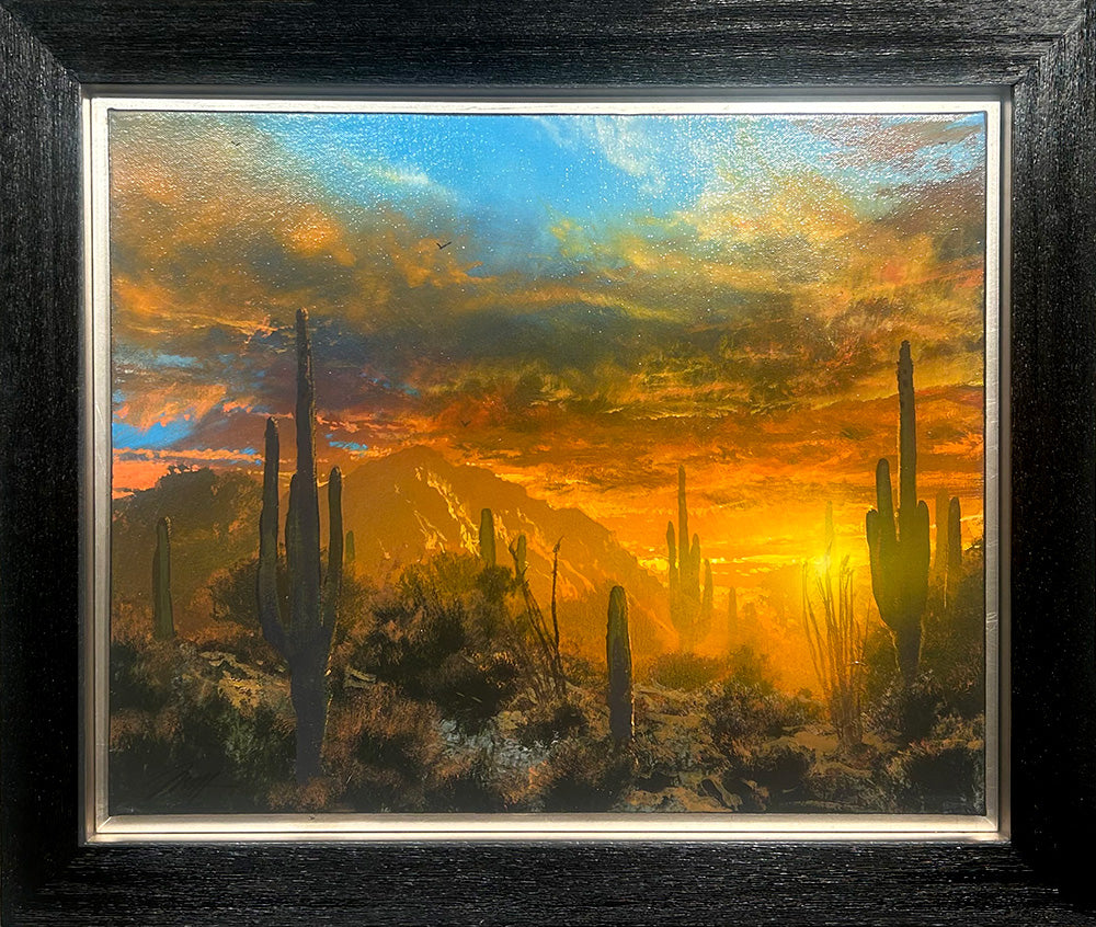 The Embrace of Twilight