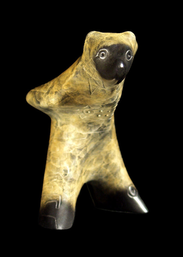 Hawk
