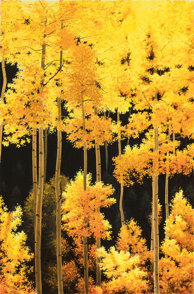 Aspen Season
