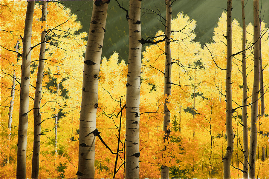 Aspen Canyon