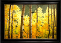 Aspen Canyon
