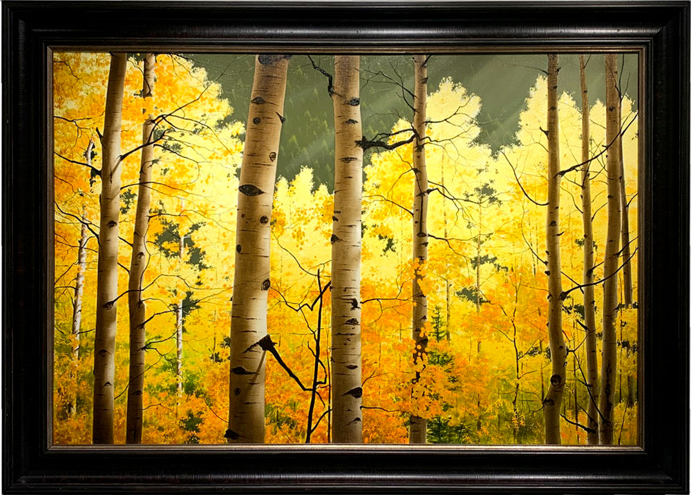 Aspen Canyon