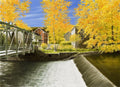 Autumn Crossing